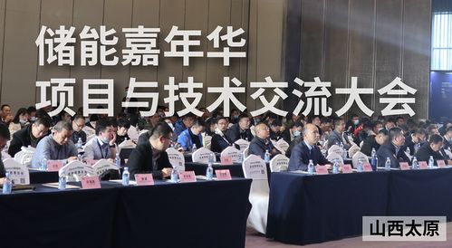 2020储能嘉年华项目与技术交流大会圆满落幕 共探储能未来，共享技术盛宴